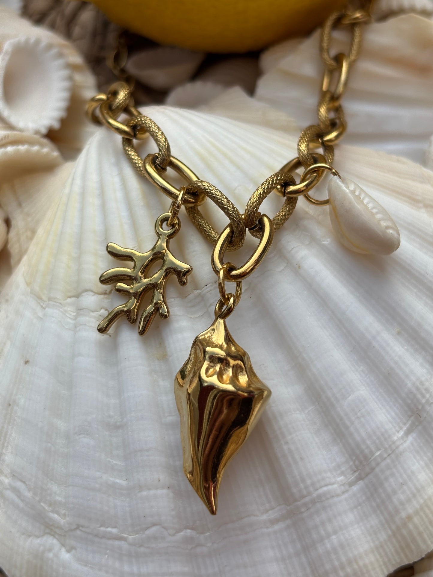 Collier HECTOR
